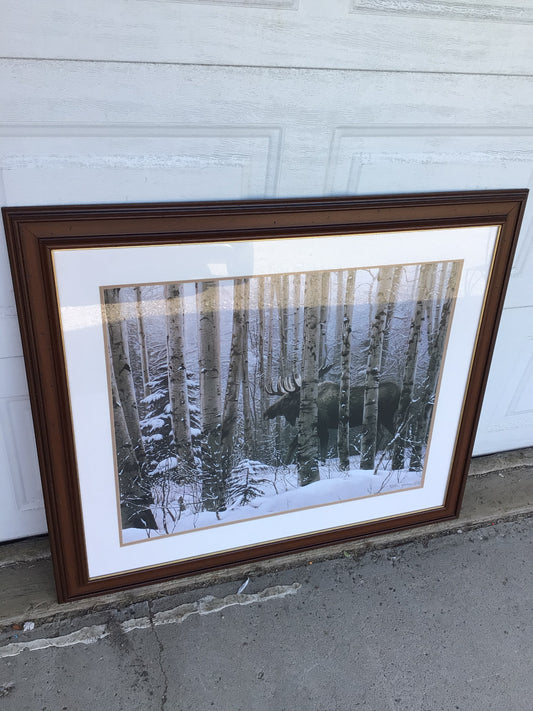 ‘A Walk In The Woods’ Framed Art