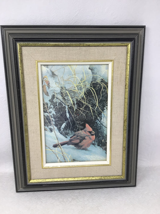 Framed and Matted Print of a “Winter Cardinal”