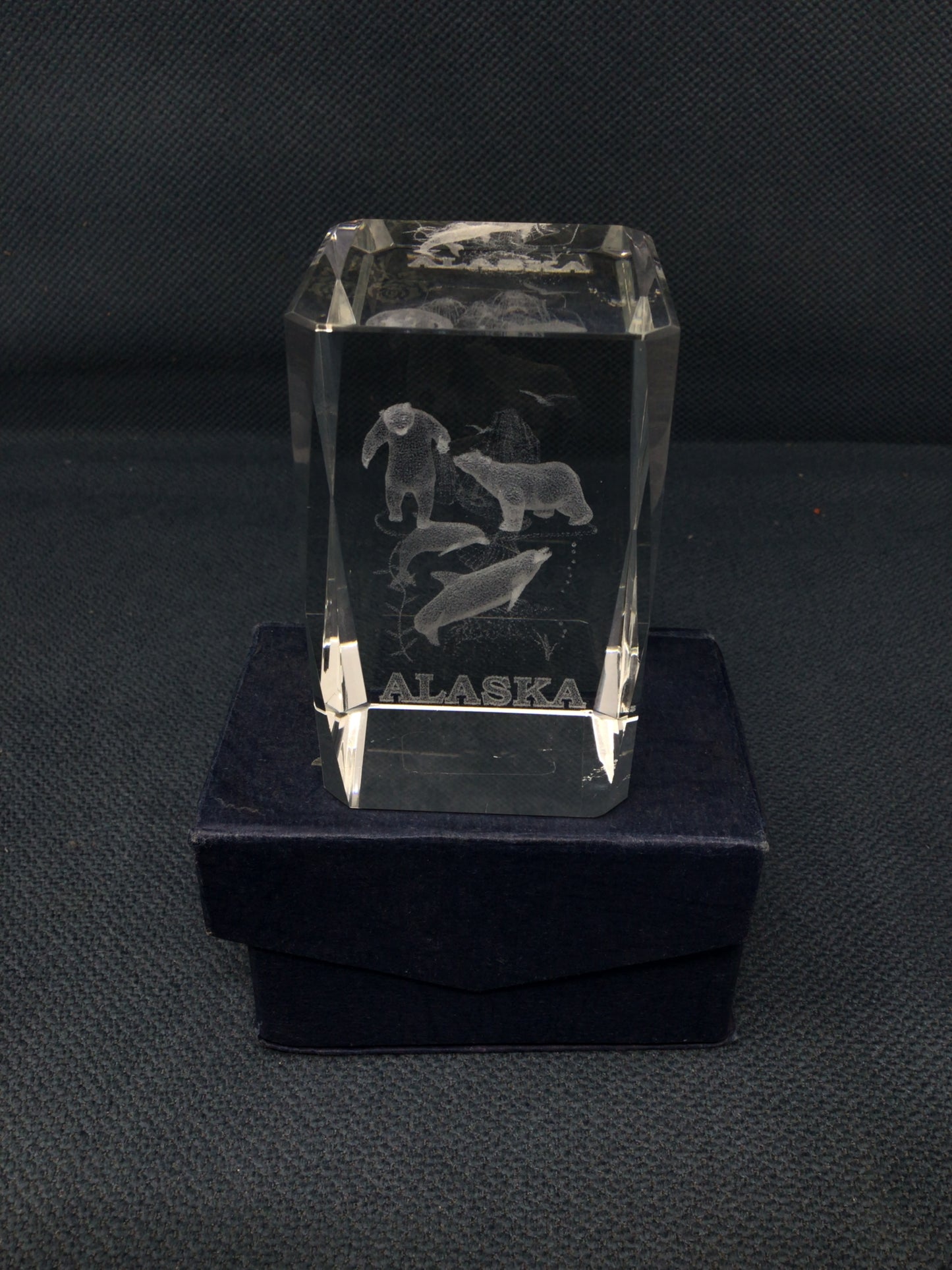 Alaska 3D Animal Paperweight