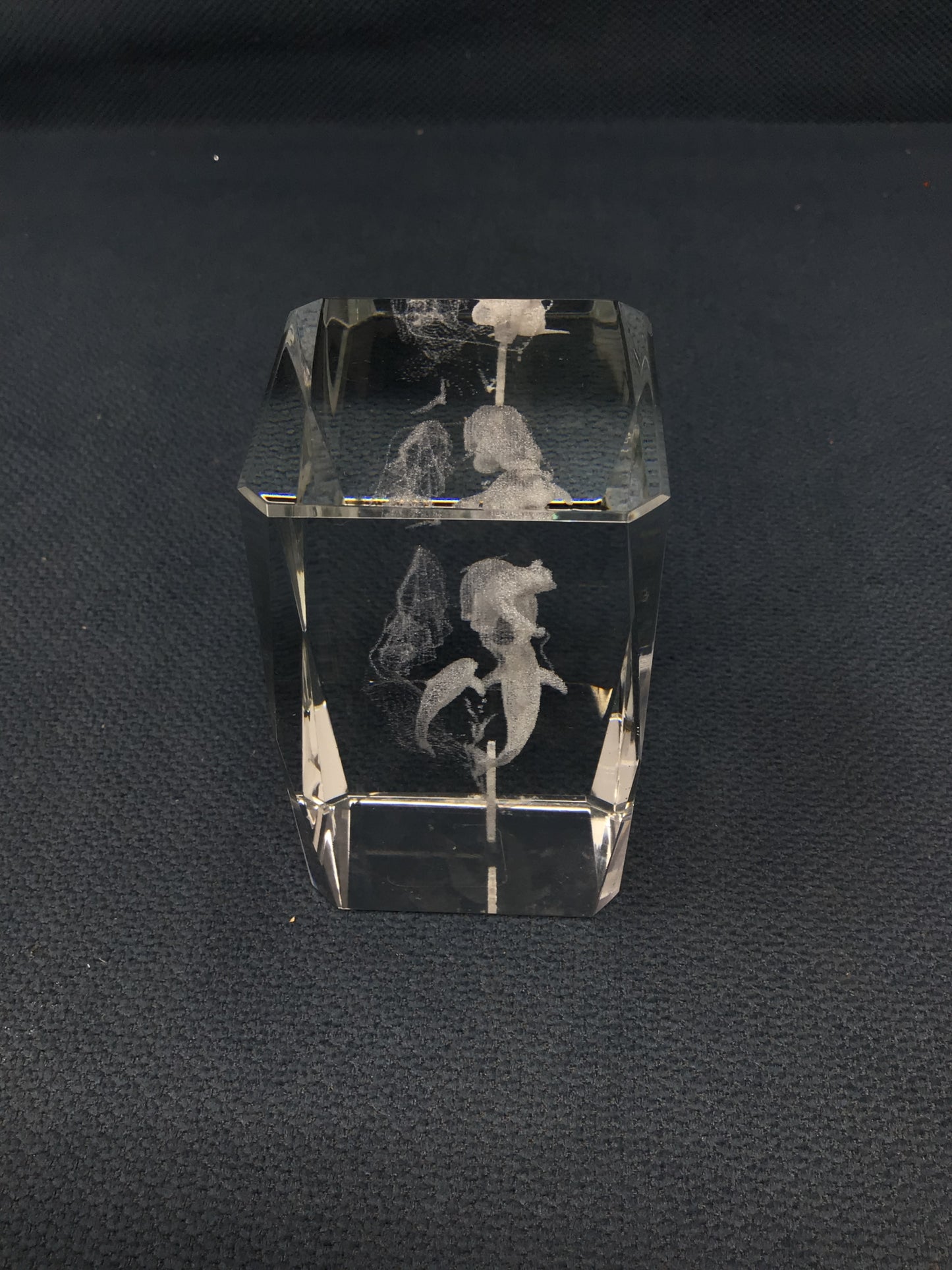 Alaska 3D Animal Paperweight