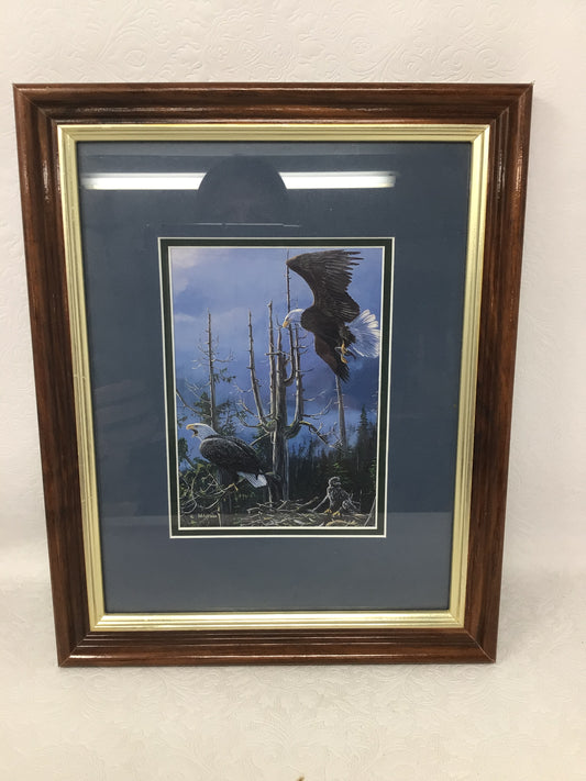 Bald Eagle Print by Mark Hobson