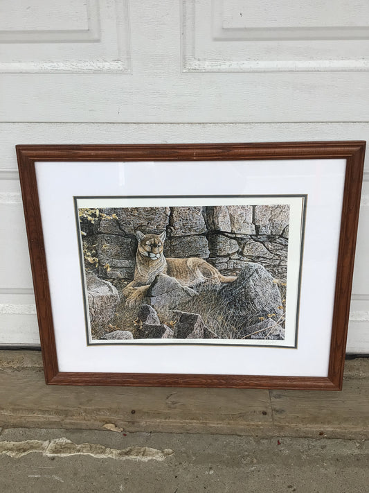 Mountain Lion Print, Rankin ‘93