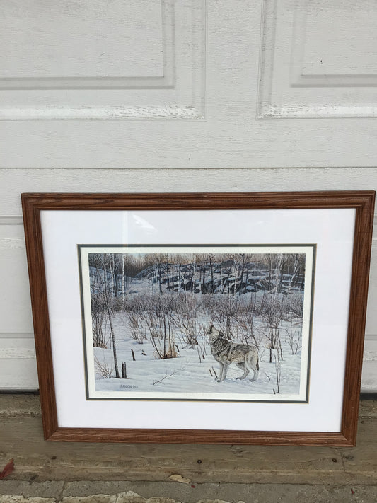 Wolf Print, Rankin ‘94